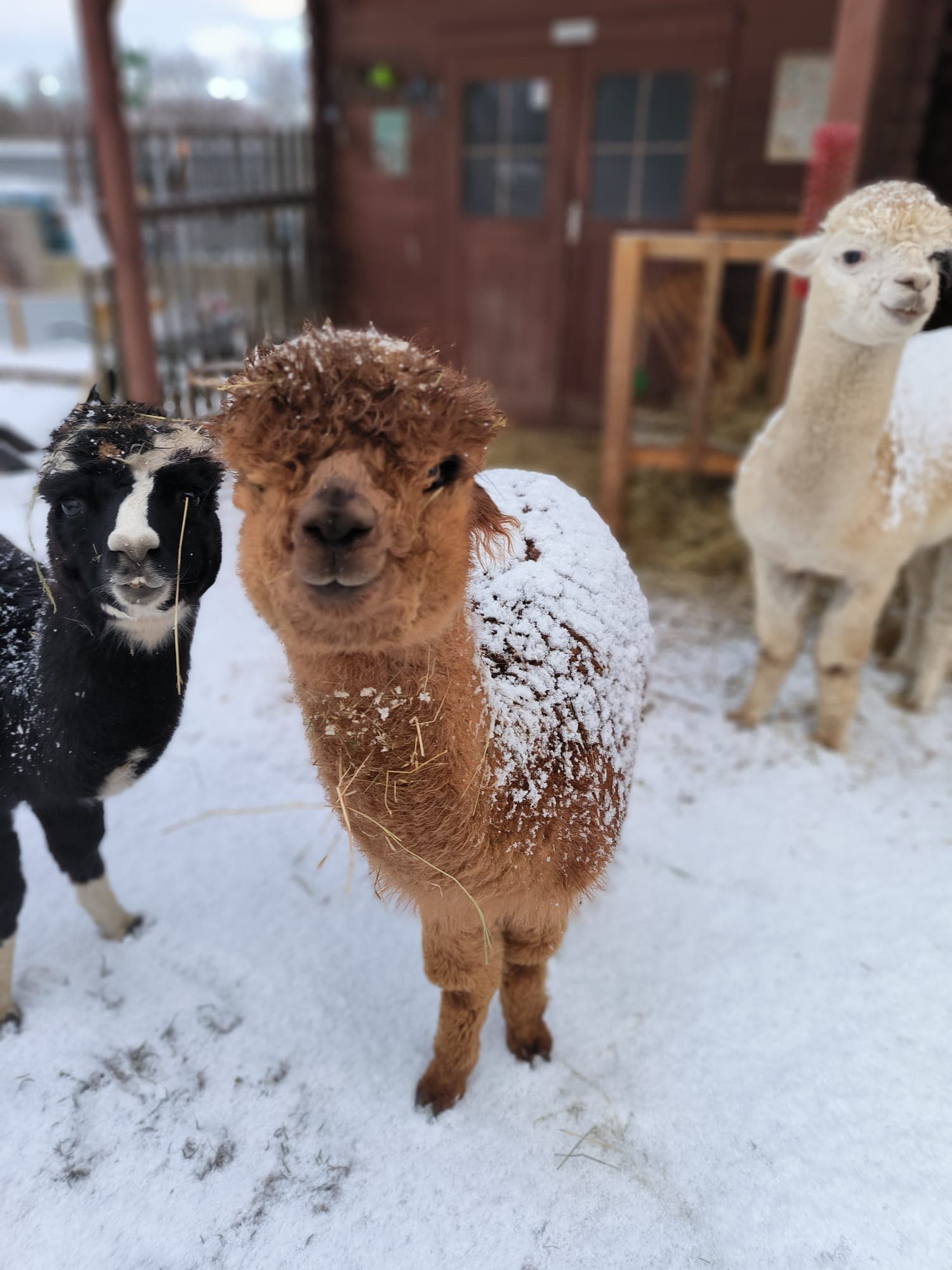 Umgebung der Praxis im Grünen